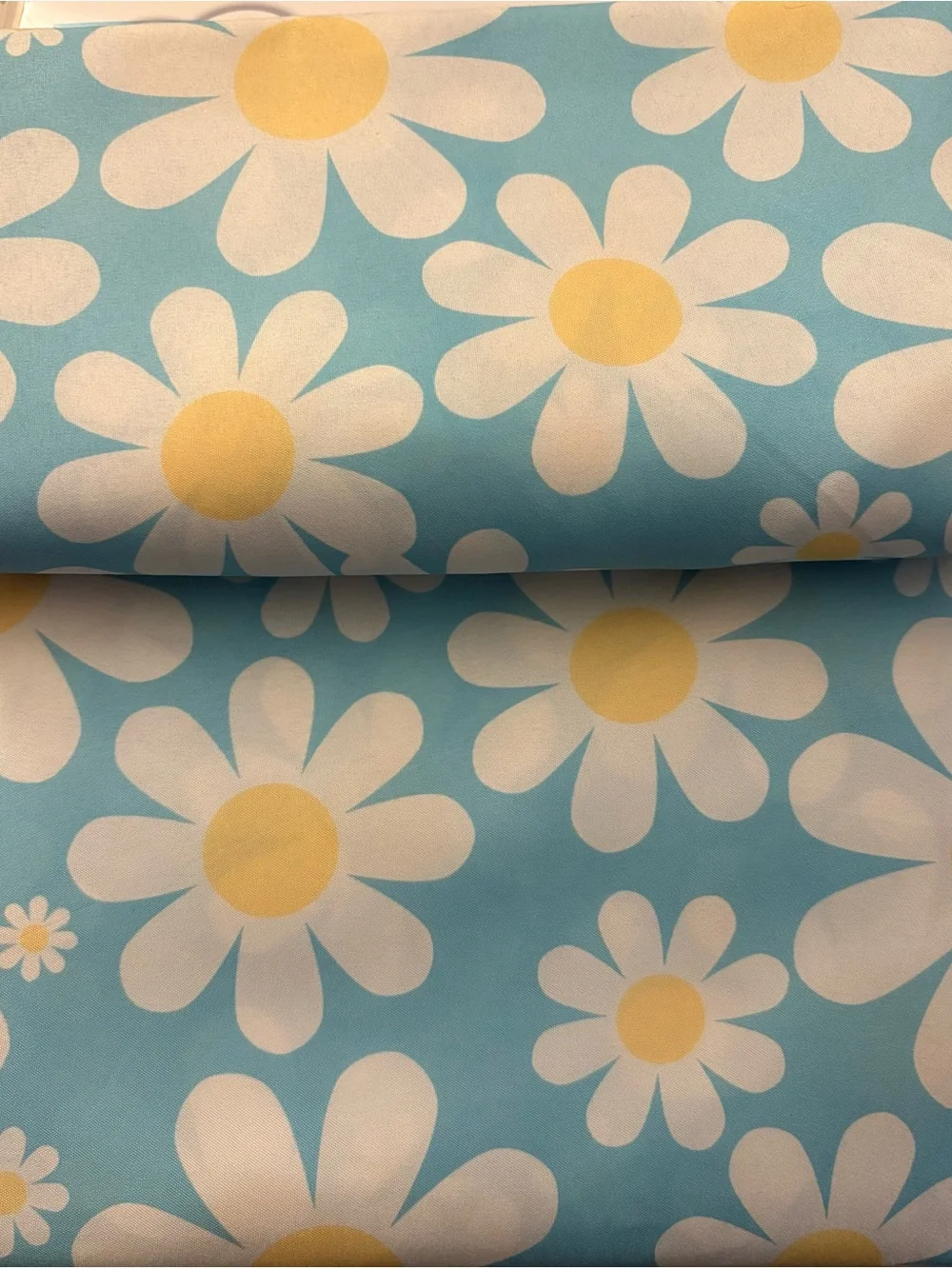 Dreamers  Shower Curtain Bundle (2) New Floral & Whimsical